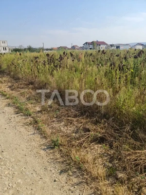 Teren intravilan de vanzare in Sebes drumul Petrestiului - imagine 3