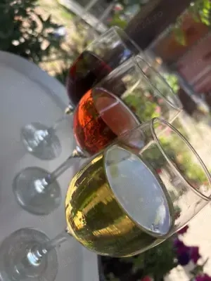 Vin de Vrancea - imagine 2