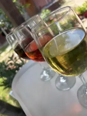 Vin de Vrancea - imagine 5