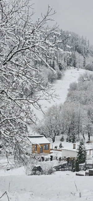 Vand pensiunie Cacica-Suceava - imagine 3