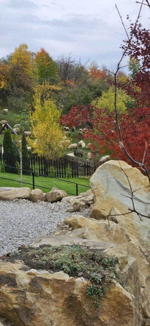 Vand pensiunie Cacica-Suceava - imagine 9