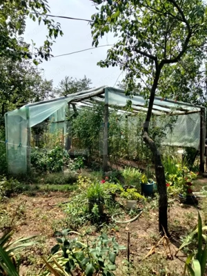 Casa renovabila/demolabila cu 2300 mp teren, Varvor/Bujoru - imagine 2