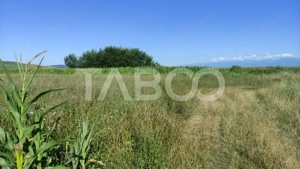 Teren extravilan de vanzare 25920 mp in Sura Mica Sibiu - imagine 3