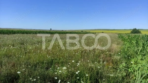 Teren extravilan de vanzare 25920 mp in Sura Mica Sibiu - imagine 5