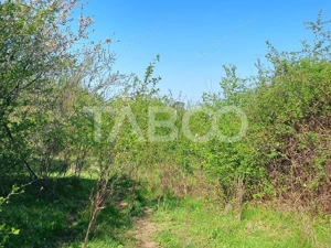 Teren intravilan 4280 mp acces la drum si utilitati zona deosebita - imagine 5