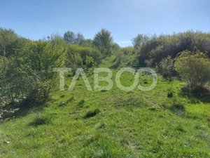 Teren 3445 mp intravilan front 26 m utilitati in zona in Cisnadie - imagine 8