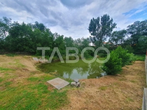 Teren intravilan 1500 mp - parcelabil - utilitati - Front 30 m - imagine 8