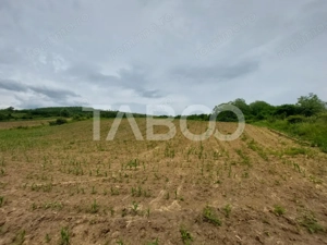 Oportunitate investitie teren 10000 mp Sura Mare - imagine 2