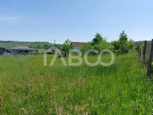 Casa individuala 5 camere cu teren 2000 mp Sura Mare Hamba Sibiu - imagine 12