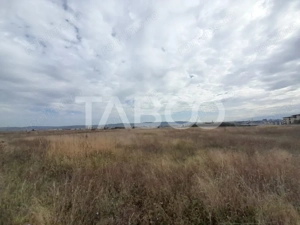 Teren intravilan 2 fronturi de 35 m fiecare 8.000 mp Turnisor Sibiu - imagine 9