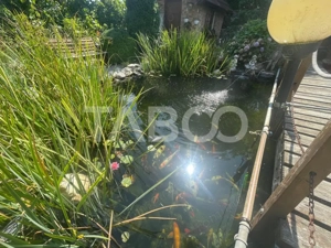 Vila deosebita  453 mp utili si curte 528 mp in Avrig - imagine 15