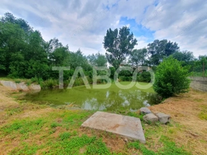 Teren intravilan 1500 mp - parcelabil - utilitati - Front 30 m - imagine 6