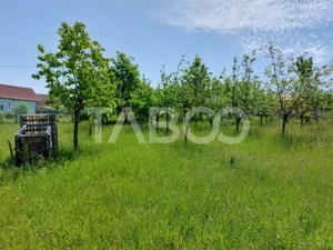 Casa individuala 5 camere cu teren 2000 mp Sura Mare Hamba Sibiu - imagine 14