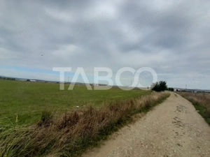 Teren intravilan 2 fronturi de 35 m fiecare 8.000 mp Turnisor Sibiu - imagine 3