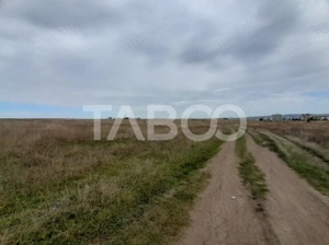 Teren intravilan 2 fronturi de 35 m fiecare 8.000 mp Turnisor Sibiu - imagine 8