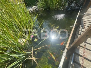 Vila deosebita  453 mp utili si curte 528 mp in Avrig - imagine 19