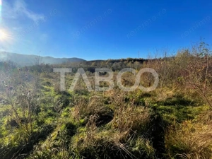 Investitie imobiliara Teren 14100 mp cu PUZ si PUD aprobat in Cisnadie - imagine 4