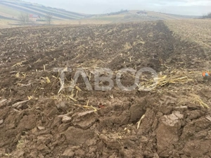 Teren de vanzare oportunitate investitie imobiliara 9300 mp Sura Mare  - imagine 3