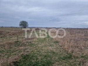 Teren intravilan 1500 mp zona Campsor cartierul Strand - imagine 3