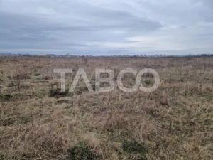 Teren intravilan 1500 mp zona Campsor cartierul Strand - imagine 5