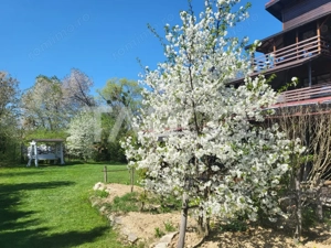 Pensiune moderna de vanzare la cheie in Vistisoara cu 1800 mp de teren - imagine 2