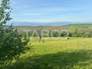 Teren de vanzare intravilan 8900mp Sura Mare zona deosebita - imagine 5