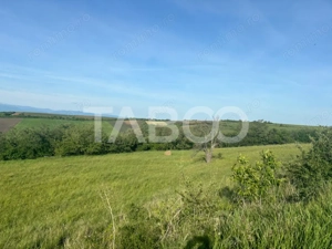 Teren de vanzare intravilan 8900mp Sura Mare zona deosebita - imagine 6