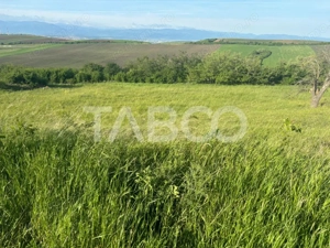 Teren de vanzare intravilan 8900mp Sura Mare zona deosebita - imagine 3