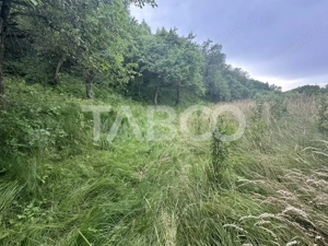 Casa 3 camere 5335 teren liber garaj si anexe  in Sinca Veche - imagine 16