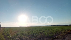 Teren intravilan 2 ha deschidere drum zona Industriala Vest Sibiu - imagine 3