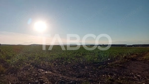 Teren intravilan 2 ha deschidere drum zona Industriala Vest Sibiu - imagine 5