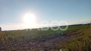 Teren intravilan 2 ha deschidere drum zona Industriala Vest Sibiu - imagine 7