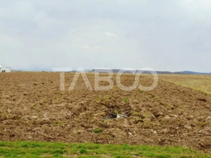 Teren intravilan 2 ha deschidere drum zona Industriala Vest Sibiu - imagine 6