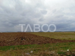 Teren intravilan 2 ha deschidere drum zona Industriala Vest Sibiu - imagine 4