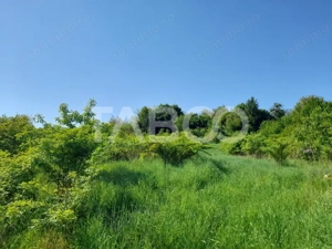 Teren de vanzare 4500 mp in centrul comunei Hamba judetul Sibiu - imagine 4