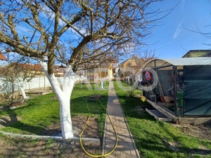 Casa individuala de inchiriat garaj pivnita curte generoasa Strand II - imagine 14