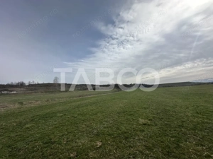 Teren 23.486 mp, deschidere 80 m, ideal comercial/industrial - imagine 2