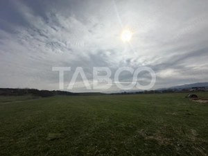 Teren 23.486 mp, deschidere 80 m, ideal comercial/industrial - imagine 3