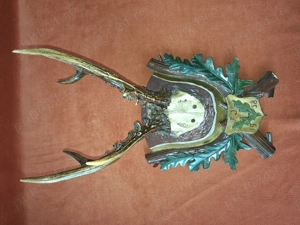 Trofeu vanatoresc cu panoplie caprior anul 1958