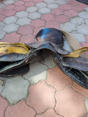 Bună ziua  - imagine 2 Bună ziua  - imagine 2