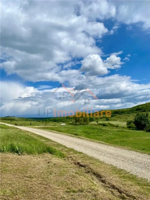 TEREN SI CASA UILEACUL DE MUNTE | 2.215MP - imagine 8