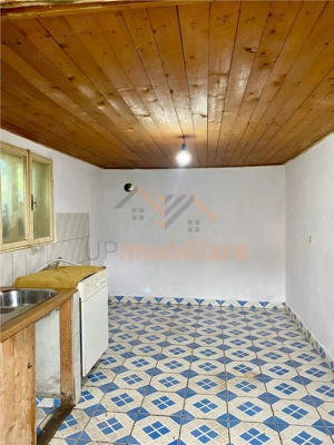 TEREN SI CASA UILEACUL DE MUNTE | 2.215MP - imagine 3