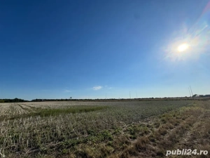 Teren extravilan centura sud(Ghiroda) - imagine 5