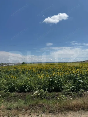 Teren intravilan 20000 mp, Parc Industrial Badeni