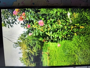 Casa vânzare Sighisoara  - imagine 4 Casa vânzare Sighisoara  - imagine 4