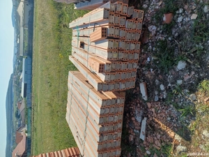 se vând boiandrugi  - imagine 3