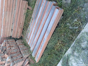 se vând boiandrugi  - imagine 4