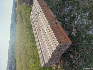 se vând boiandrugi  - imagine 2