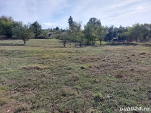 Teren intravilan 3800 mp, Agnita jud. Sibiu