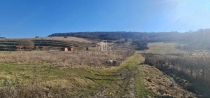 Teren 1000 Mp Intravilan De Vanzare, Langa Lac, Ivanesti - imagine 3